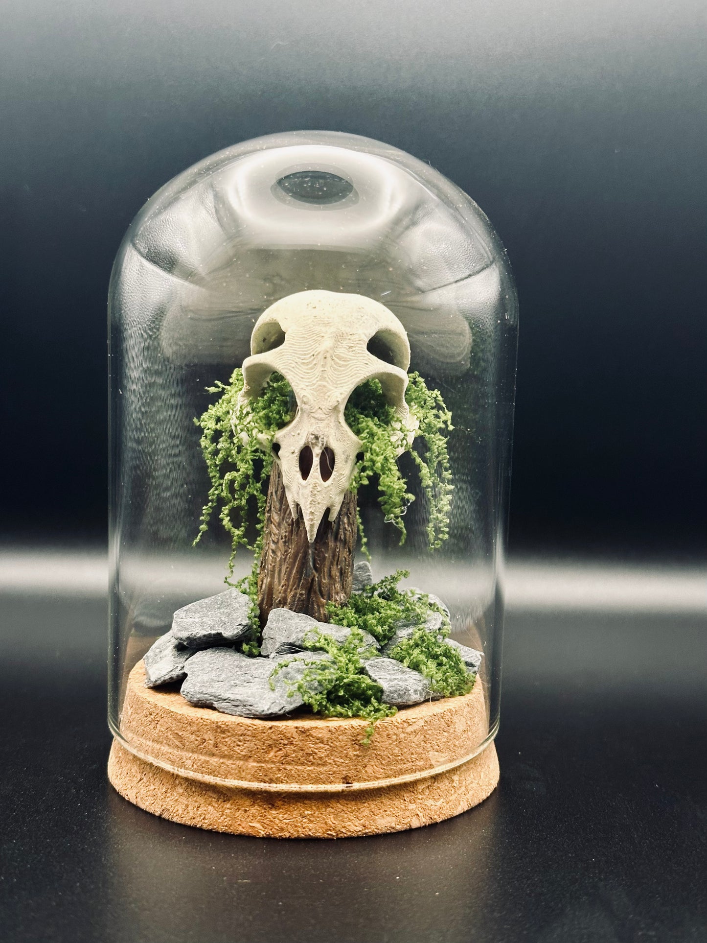 Owl Skull Terrarium