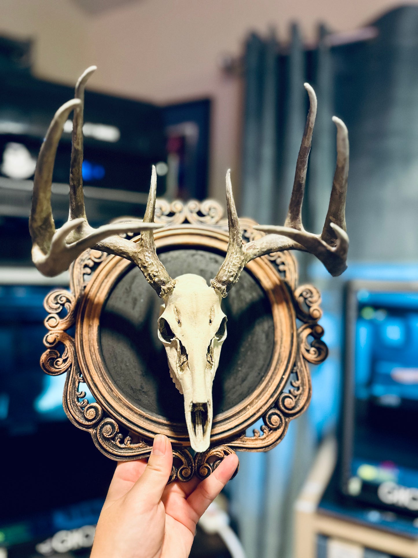 Mounted Deer Skull