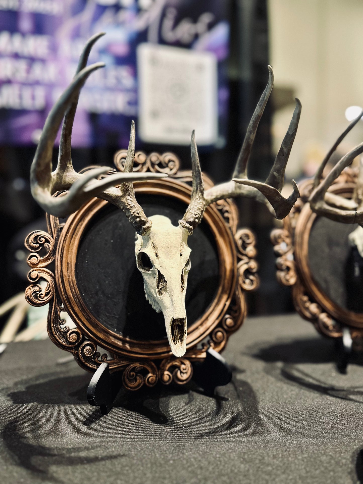 Mounted Deer Skull