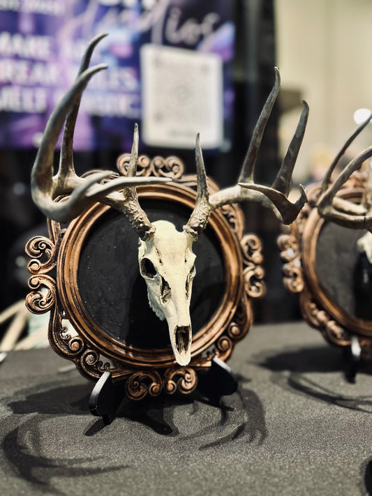 Mounted Deer Skull