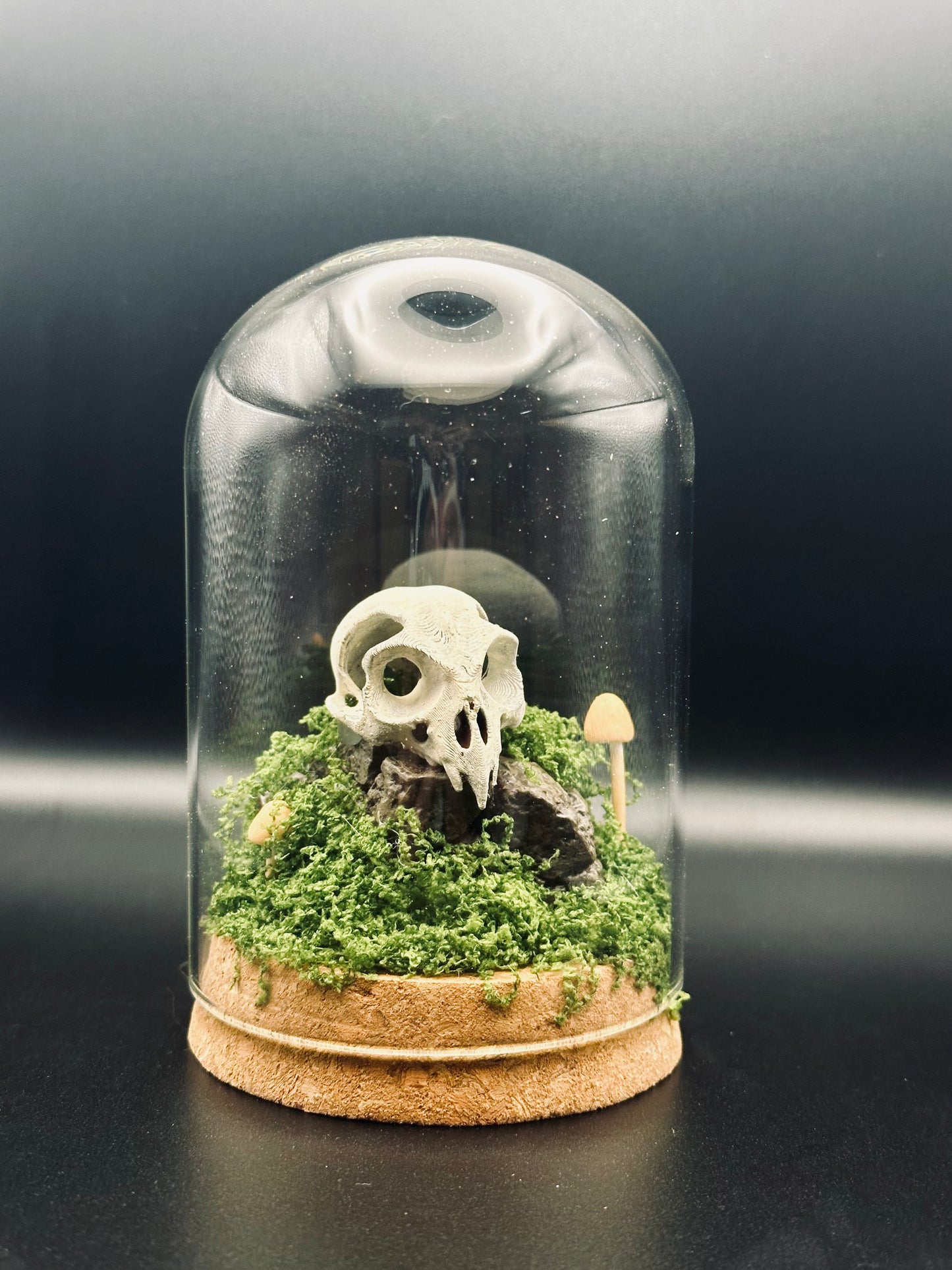 Owl Skull Terrarium